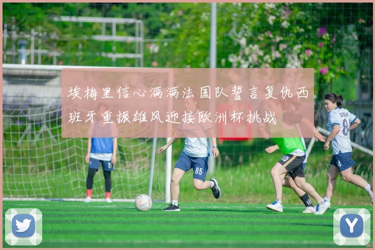 埃梅里信心满满法国队誓言复仇西班牙重振雄风迎接欧洲杯挑战
