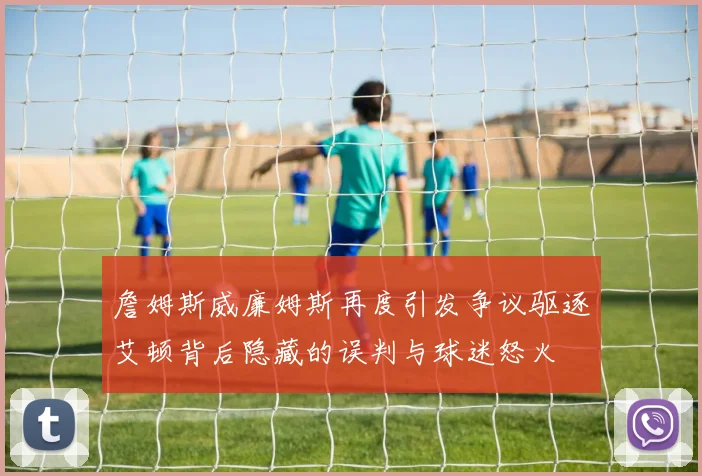 詹姆斯威廉姆斯再度引发争议驱逐艾顿背后隐藏的误判与球迷怒火