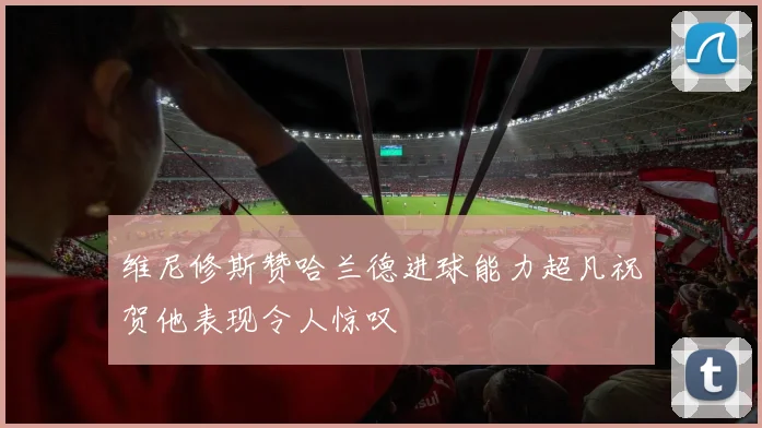 维尼修斯赞哈兰德进球能力超凡祝贺他表现令人惊叹