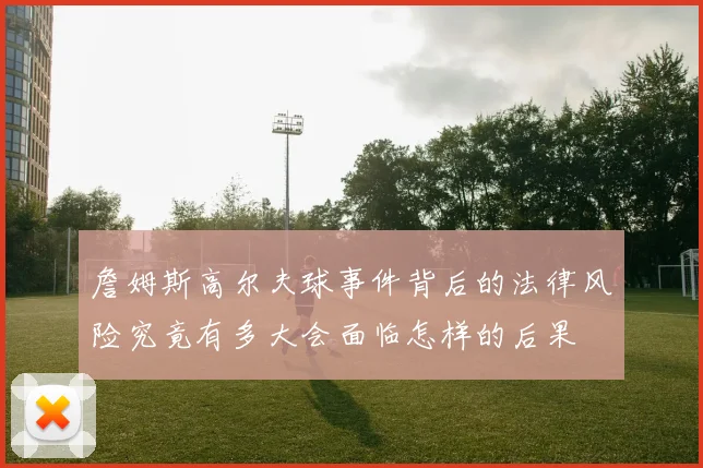 詹姆斯高尔夫球事件背后的法律风险究竟有多大会面临怎样的后果